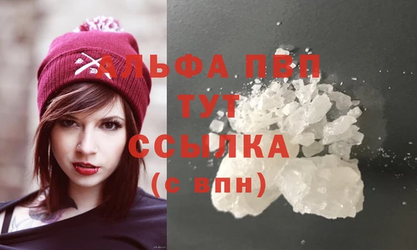 тгк Нея