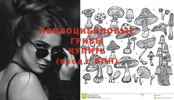дживик Нефтекумск