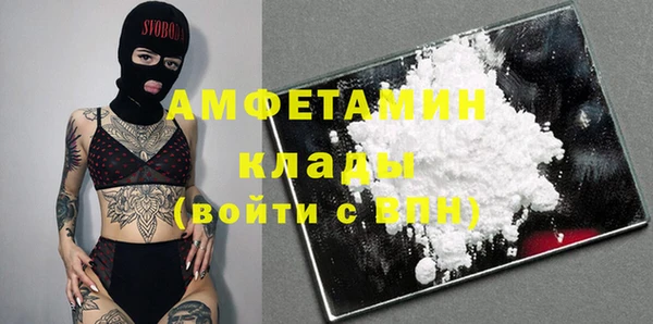 тгк Нея